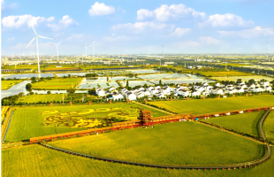 “十四五”时期我国现代农业产业园总产值超3万亿元  