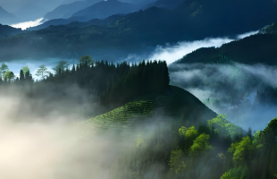 国家公园生态与民生双赢路径清晰  