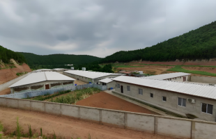 人民直击｜达标却扰民的臭气，要不要驱除？    