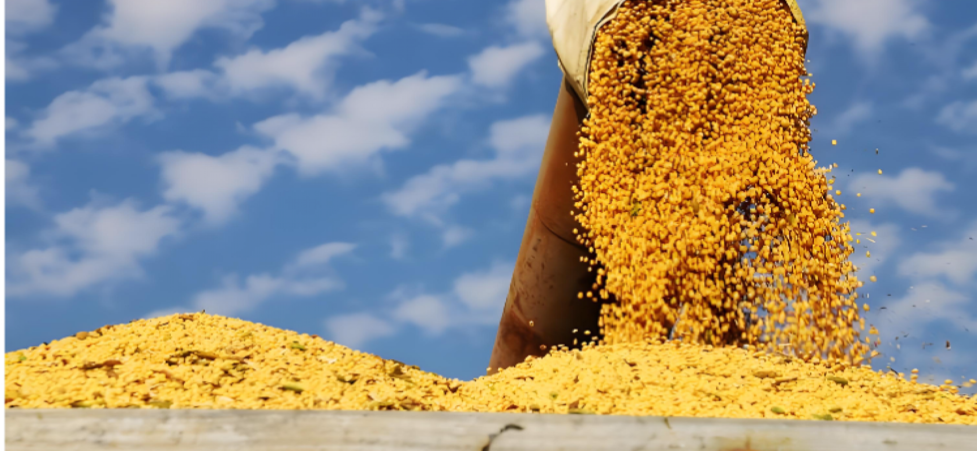 采购新模式带来农企双赢