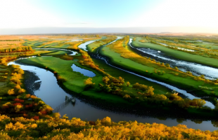 黑龙江全面实行用地用林用草联动审批  