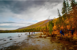 新疆发展有鲜活的生命力  