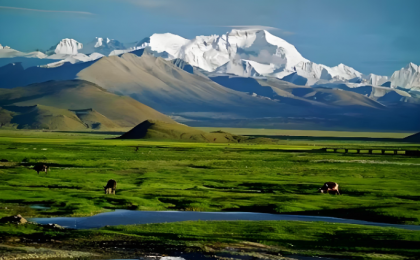 为科学保护地球第三极提供参考