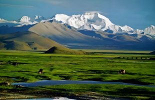 为科学保护地球第三极提供参考