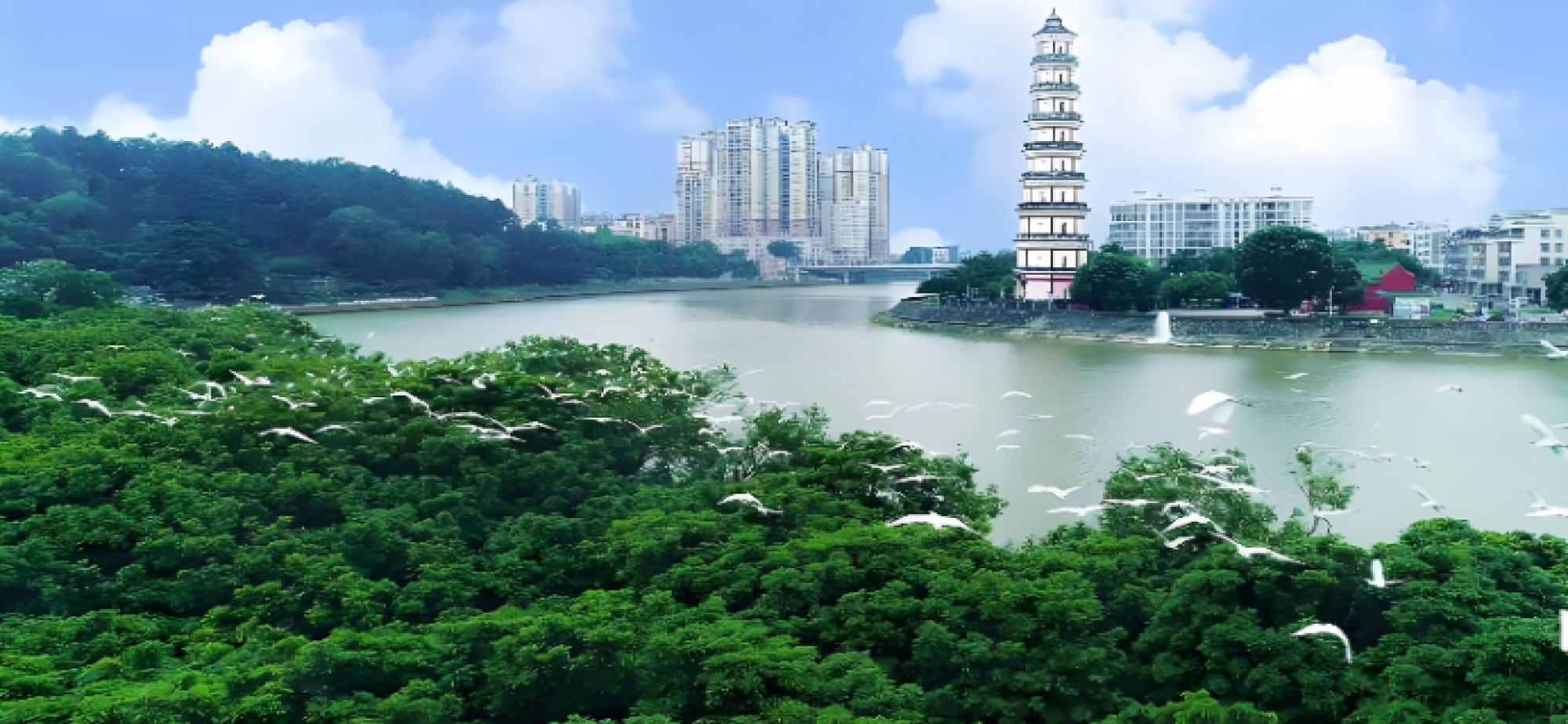 广东高州：让绿水青山成为百姓的幸福靠山