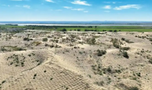 内蒙古磴口：沙漠“蓝海”增“绿”记 