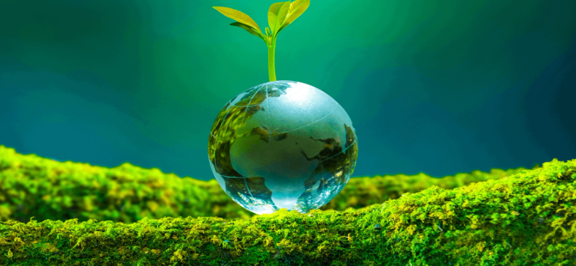 中央经济工作会议确定：坚持“双碳”引领，推动全面绿色转型