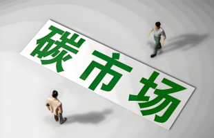 广东首例碳市场个人信息保护案落槌