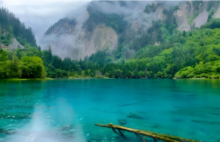 除了旅游和特产，生态还能怎么赚钱？答案在这里 