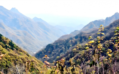 秦岭国家大气本底站进入观测试验阶段  