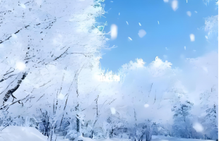 多省份下大雪！寒潮继续影响我国大部地区 