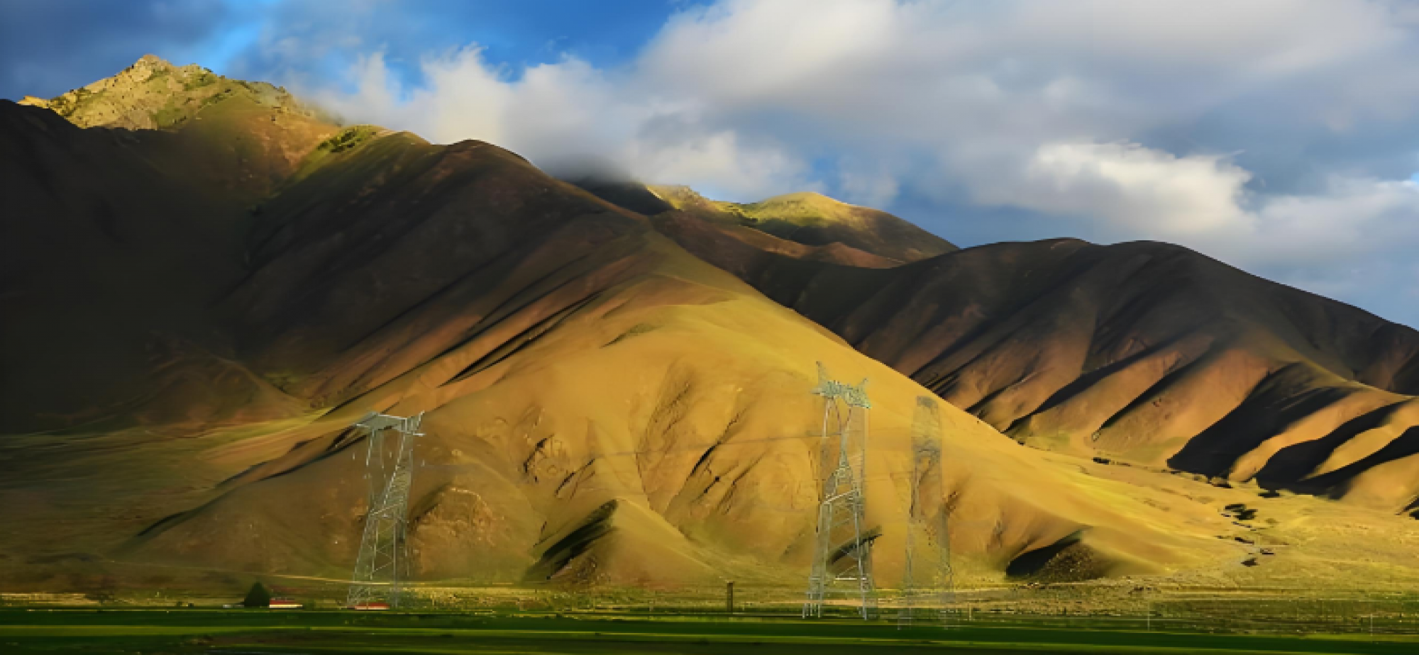 西藏发现鱼类新物种