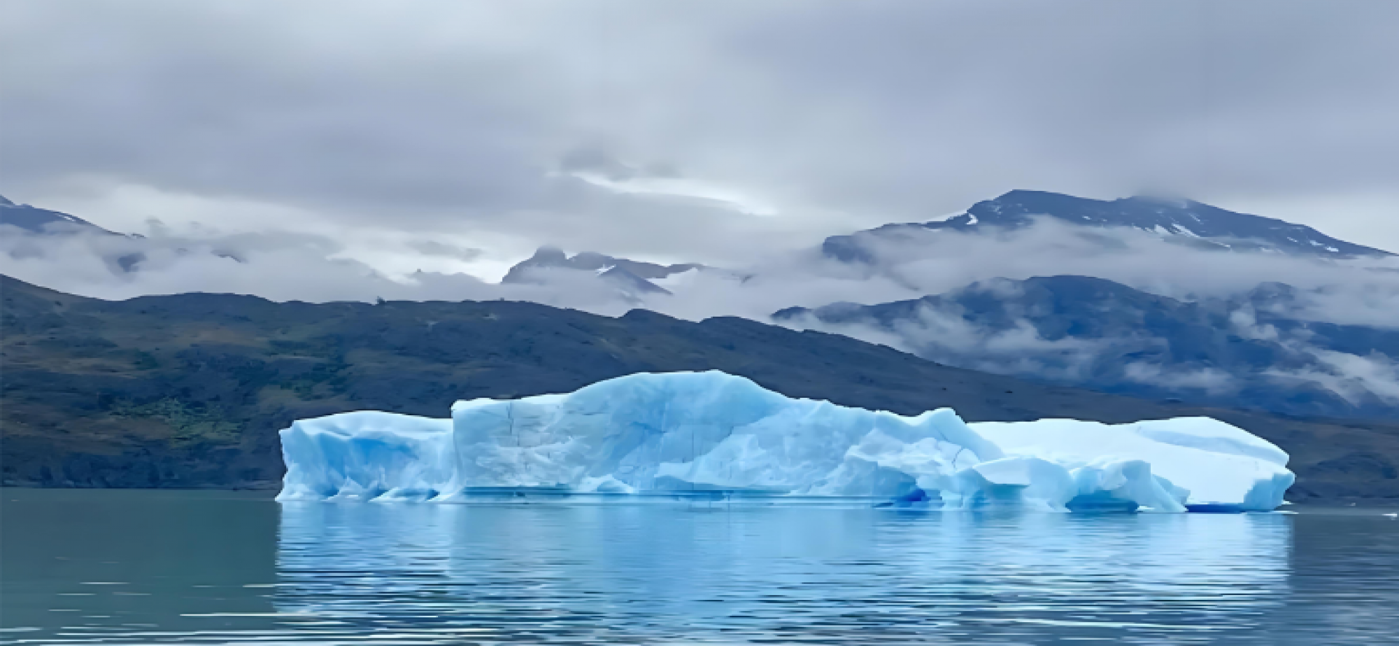 科学家揭示南极冰间湖是高效“碳捕手” 