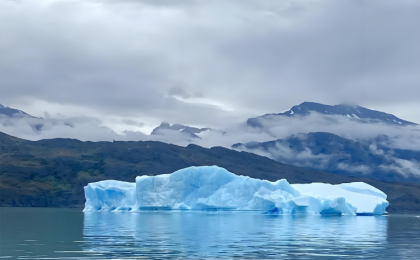 科学家揭示南极冰间湖是高效“碳捕手”  有助于气候变化研究    
