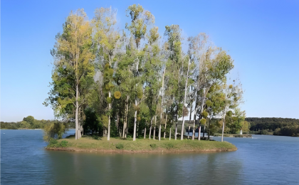 “水账本”里算出发展经    