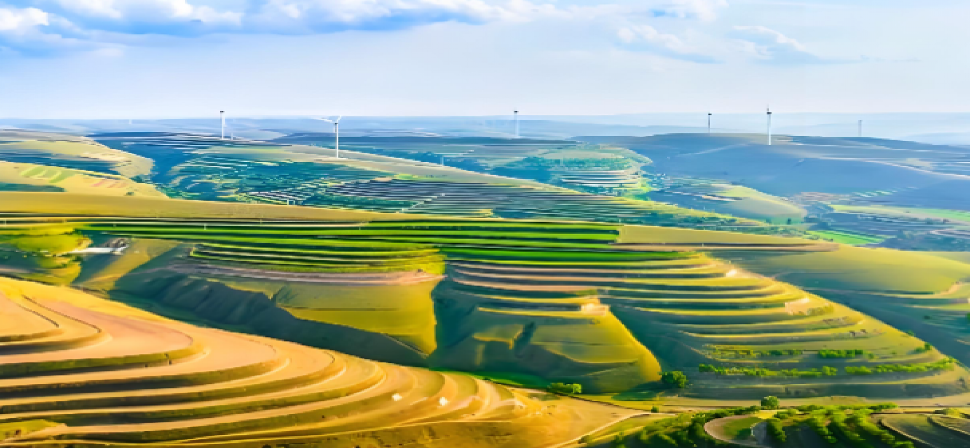 守好农村集体家底 护好广大农民钱袋