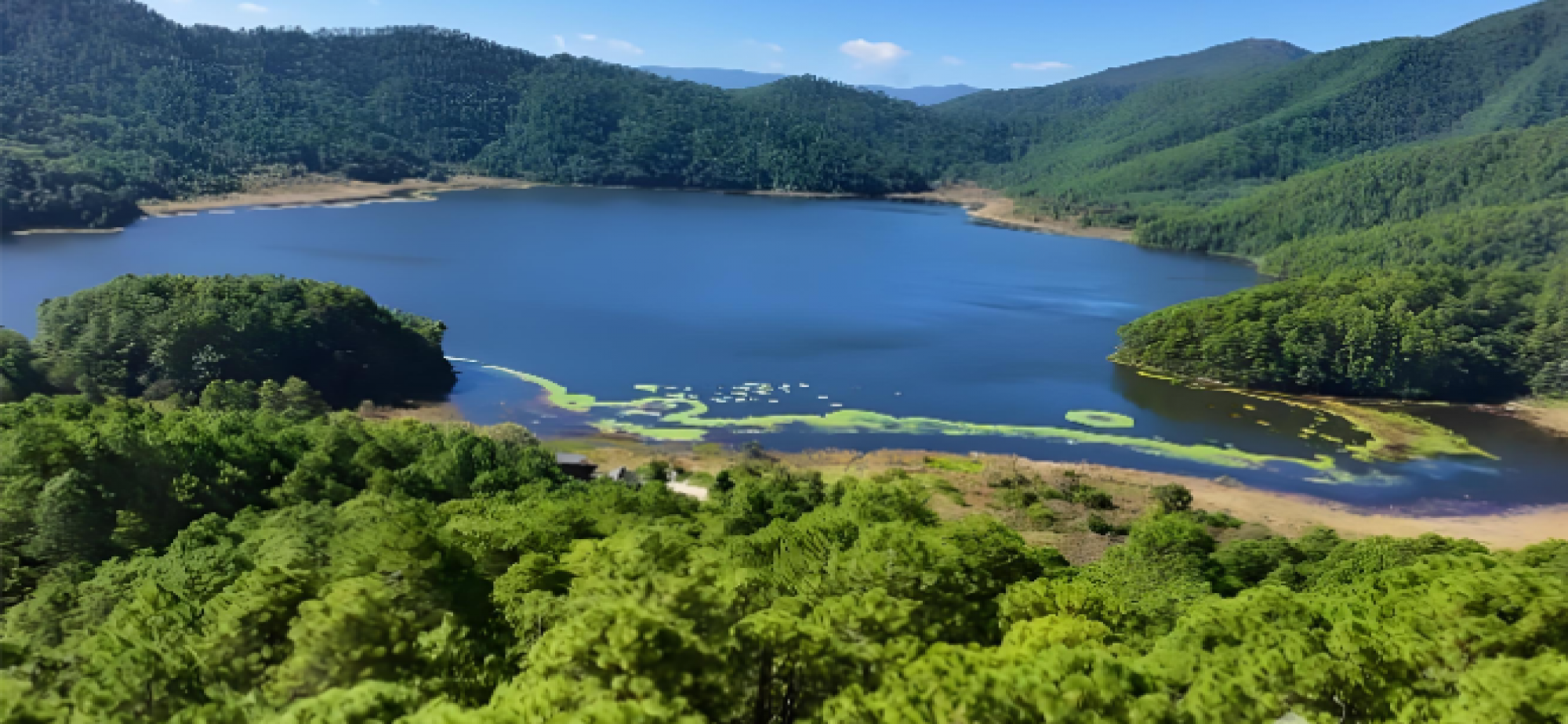 云南已有28个地理标志农产品