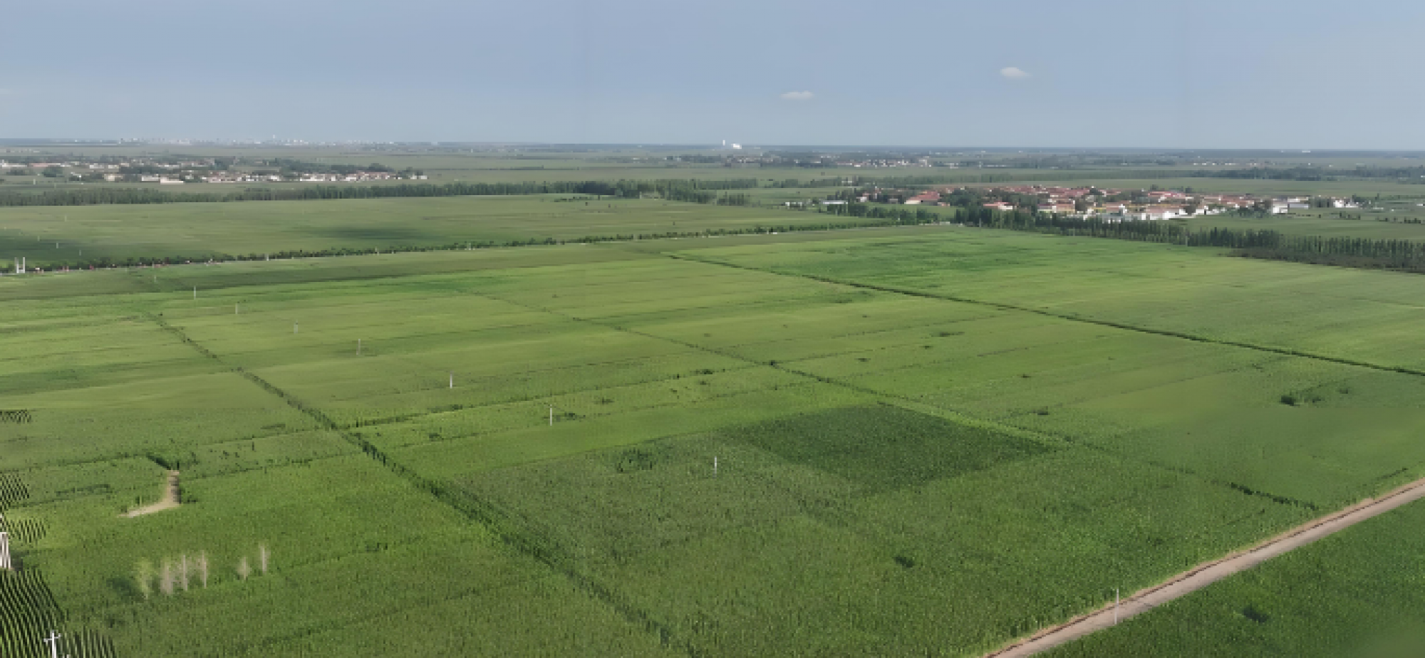 努力让农田“高产”又“绿色”