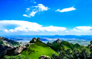 绿色家底这样“存”下来 