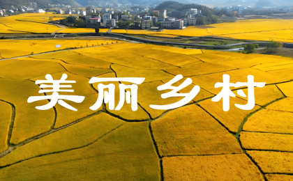 夯实中国式现代化的“三农”底座   