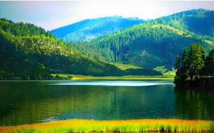 6组数据看“绿水青山”新画卷  