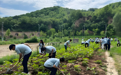 把社会实践“课堂”开在田野上  