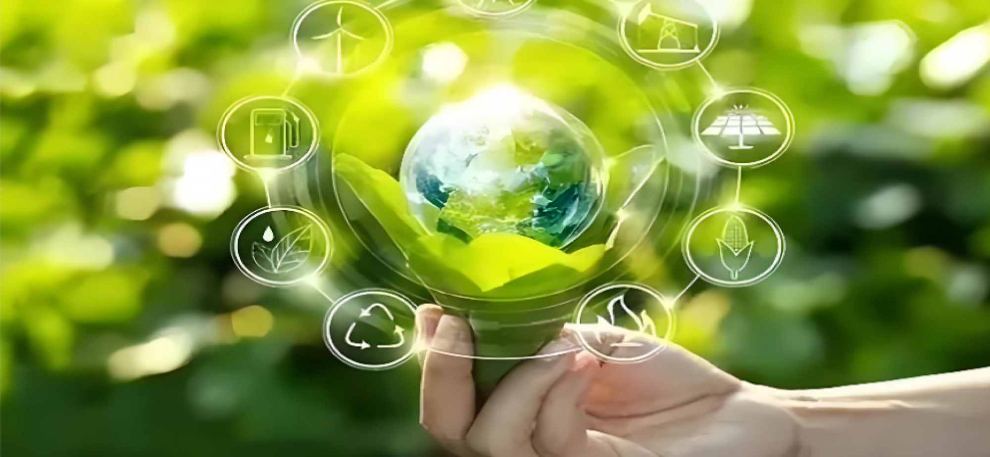 “绿”潮涌动 能源低碳转型释放发展活力