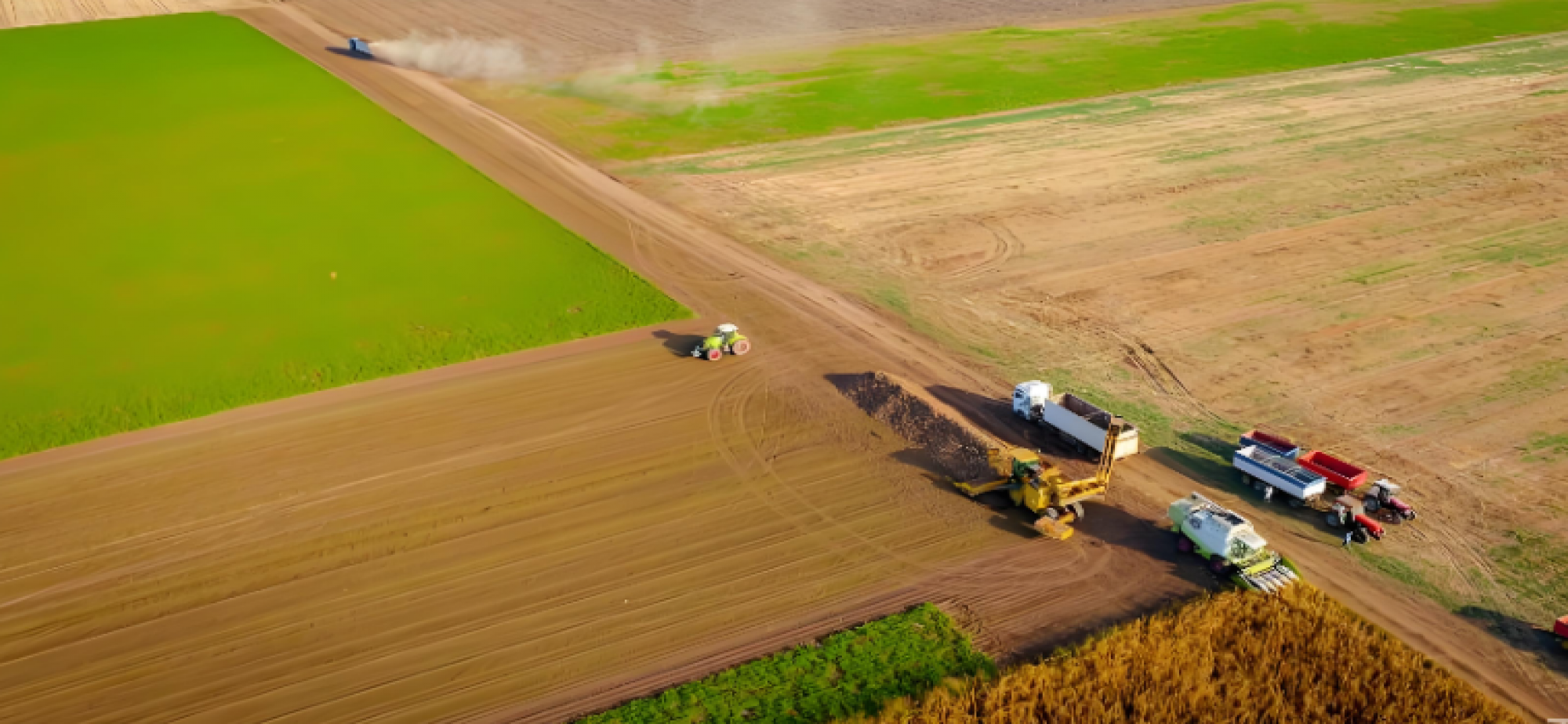 推动耕地数量、质量、生态“三位一体”保护