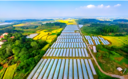 我国农业发展全面绿色转型迈入关键阶段