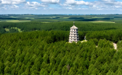 塞罕坝机械林场有了国际“绿色通行证”  