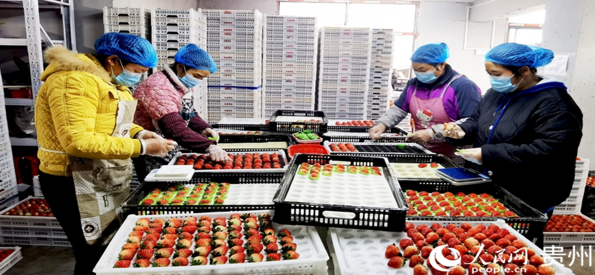 推进乡村全面振兴 今年我国将部署这些工作