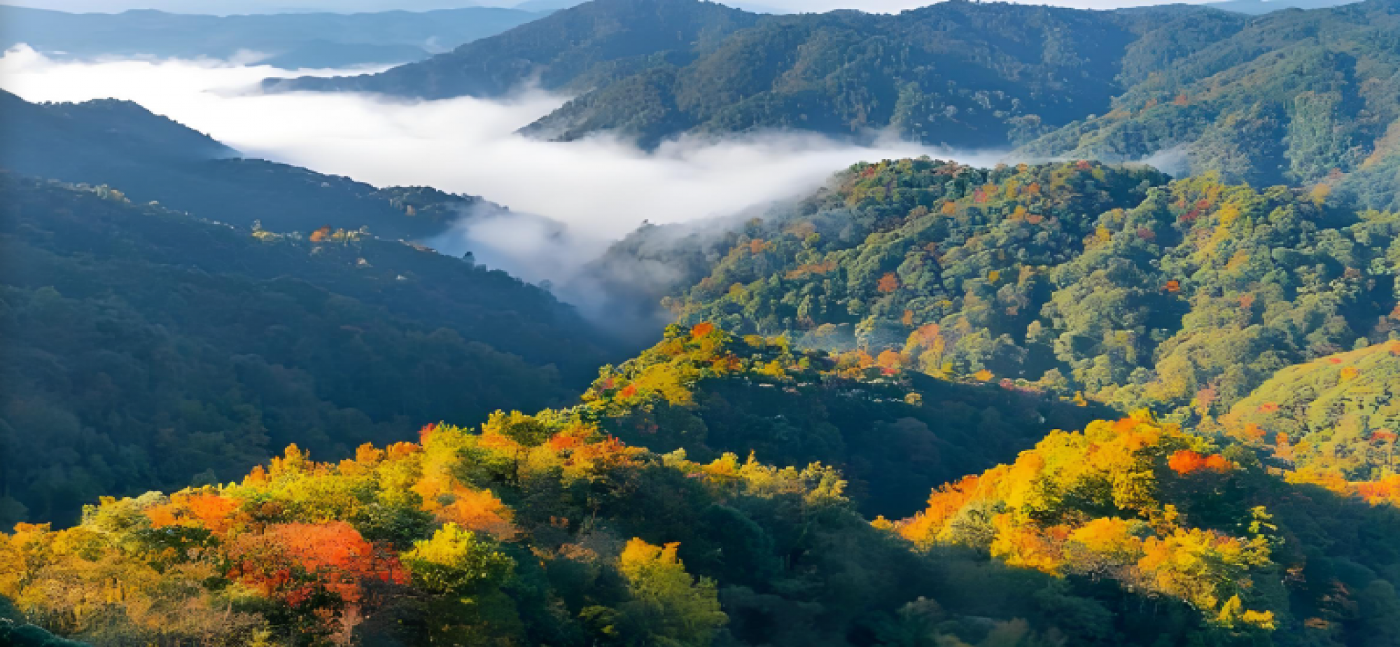 “绿水青山”有了量化标准