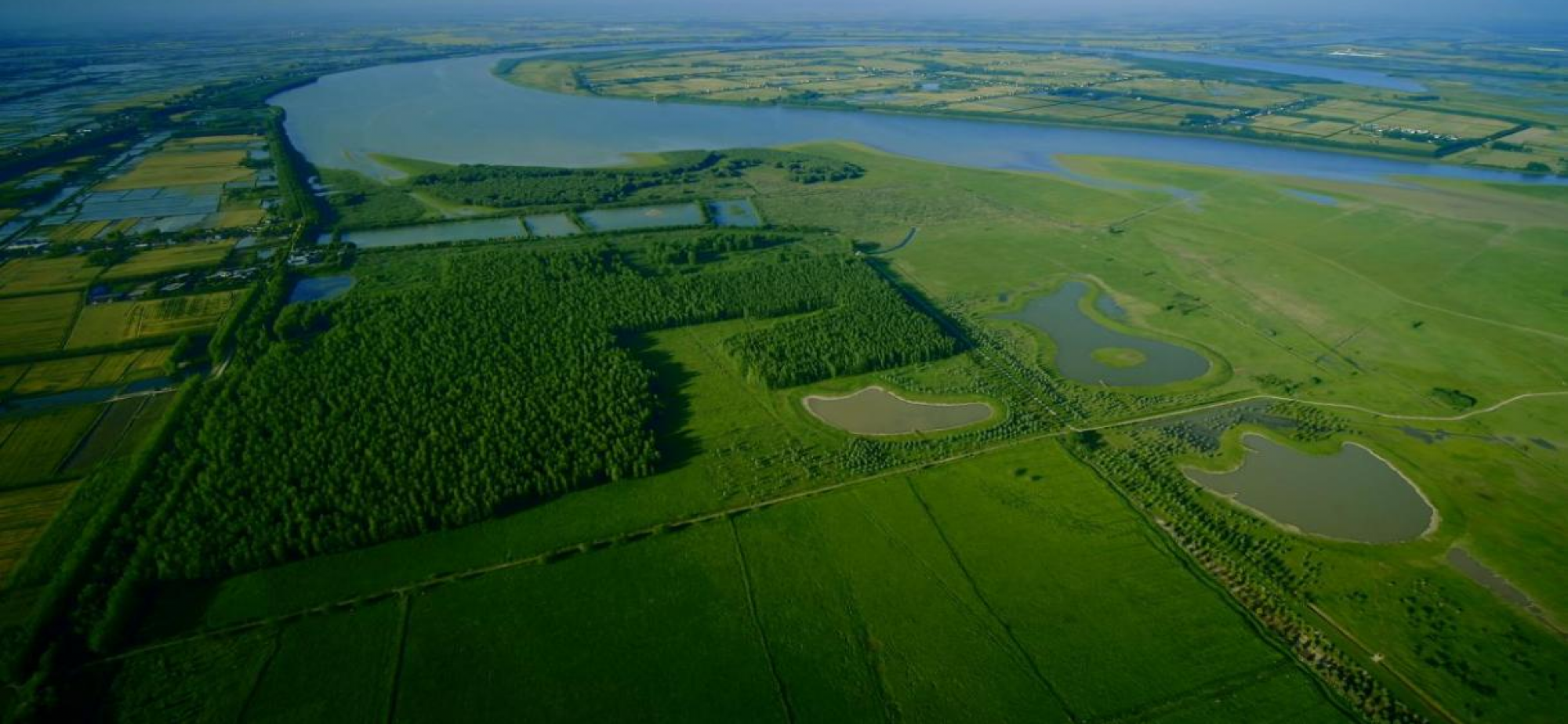 “共抓大保护”筑牢生态安全坚固屏障