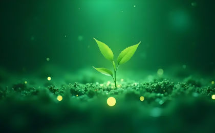 以绿色低碳引领三大区域美丽中国先行区高质量建设 