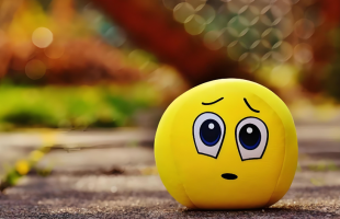 “情绪经济”成地方两会热词  