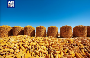 速览2026年中央一号文件