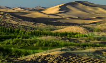 一根种子绳，适配多样防沙治沙场景   