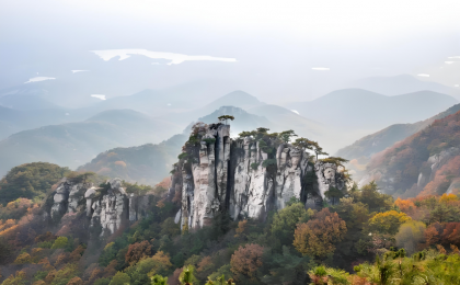 大别山铺就“红绿黄”振兴路    