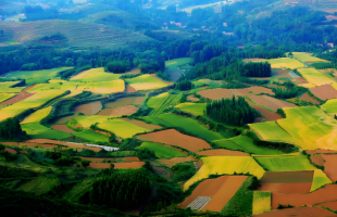 打造具有本地特色的现代版“富春山居图”  