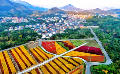 垃圾分类“分”出乡村新气象    