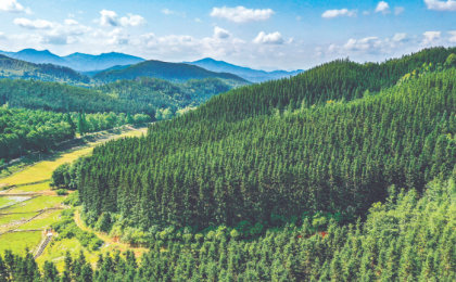 以林草事业高质量发展助力美丽中国建设