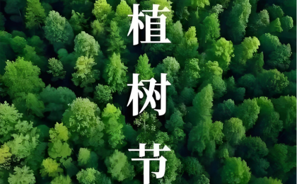 种下的是树苗，也是祖国的美好未来  