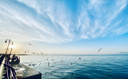 今日谈：与海为伴 向新而立  