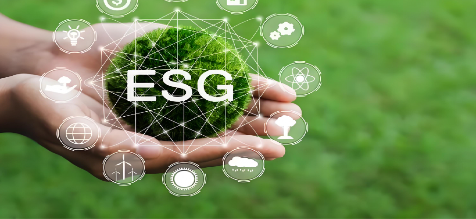 绿色低碳发展 释放强劲动能