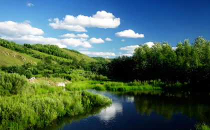我国森林面积和森林蓄积连续40年实现双增长 