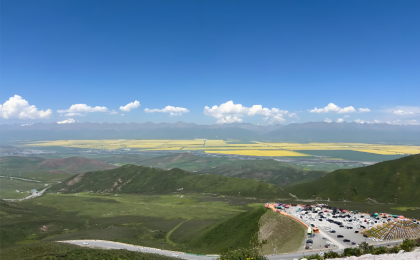 有好生态才有好未来    