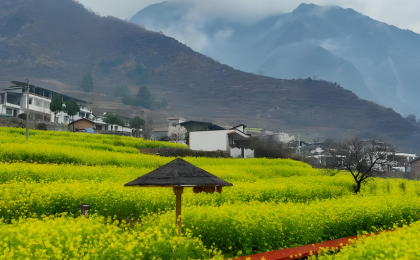 春风为何会送暖？    