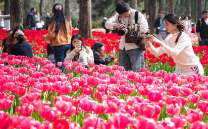 马力全开！春日消费“花开”多地 