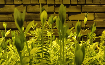 “春日经济”持续升温，离不开消费场景的创新突破 