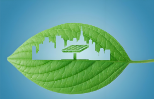 让呼吸吐纳间充满绿意   